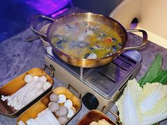 -Darling Queen·Mini·Live·House