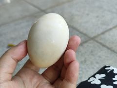 -华南师范大学(广州大学城校区)