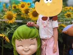 -黄石儿童公园