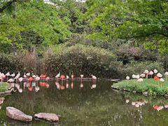 -上海野生动物园
