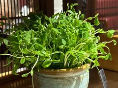 -牛村来人潮汕牛肉火锅(西单店)