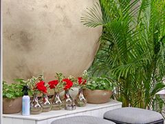 -弦月窗LUNETTE BY AMANDA(复兴路店)