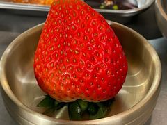 -围炉肉舍丹东海鲜烤肉·烤活鳗(步行街店)
