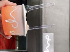 -DIP in GELATO(富民路店)