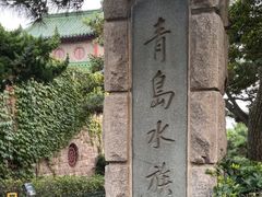 -青岛海底世界-水族馆