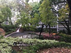-香港大学
