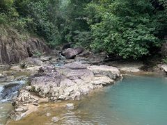 -广州白江湖森林公园