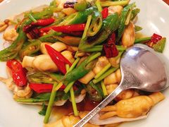 蛏子-俏东方·海味水饺·青岛菜(崂山店)