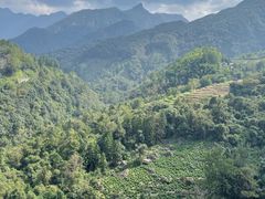 -石台牯牛降景区