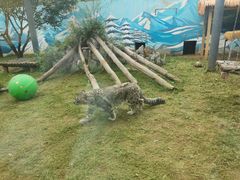 -青藏高原野生动物园