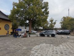 -新场古镇-停车场