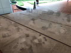 -香港大学