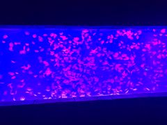 -波塞冬旅游度假区