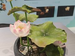 -手工艺活态馆