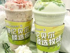 -茉酸奶(春熙路店)