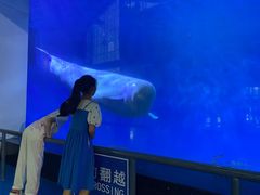 -泉城欧乐堡海洋极地世界