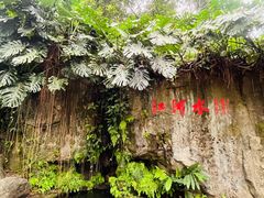 -广州兰圃