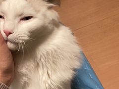 -西少爷(五道口店)