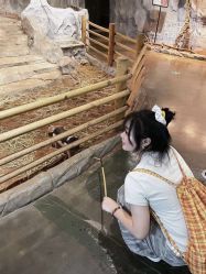 -Zoolung Zoolung动物主题公园(海信广场店)