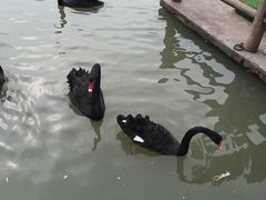-宁波野生动物园