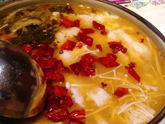 -朝郡酒家·粤菜(燕大星苑店)