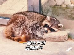 -呀路古热带植物园
