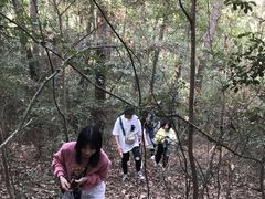 -青龙山国家森林公园