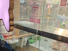 -FAELING PETS美天灵宠物(富力广场店)