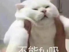 -大渝火锅(苏州西城永捷店)