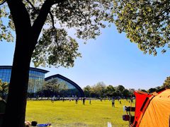 -吴淞炮台湾湿地森林公园烧烤区