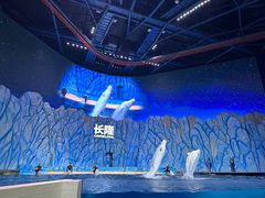 -珠海长隆海洋王国