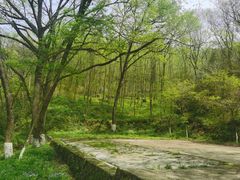 -南京老山国家森林公园