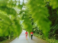 -朱雀国家森林公园