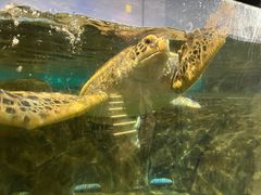 -福州罗源湾海洋世界旅游区