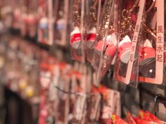 -猫咪博物馆(顶澳仔猫街店)