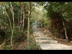 -云碧峰国家森林公园