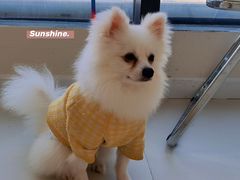 -怪兽屋·羊驼·猫咖·狗咖(俊华广场店)