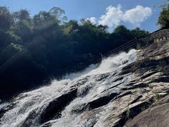 -广州白江湖森林公园