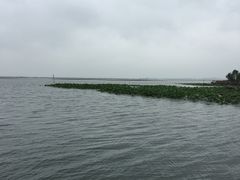 -七的湖·晚芳亭·阳澄湖农家菜·大闸蟹(莲花岛店)