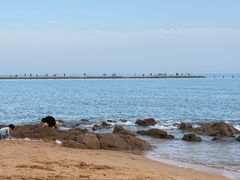 -青岛第二海水浴场