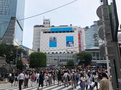 -涩谷全向十字路口