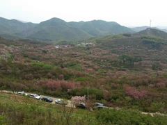-四明山国家森林公园