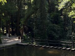 -波尔登森林公园