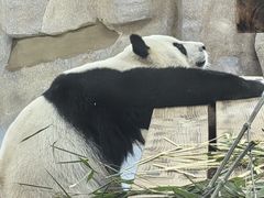 -无锡动物园·太湖欢乐园