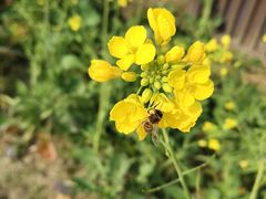 -中国天府农业博览园