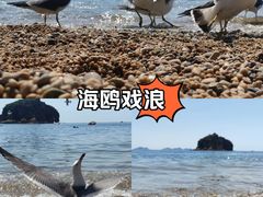 -棒棰岛宾馆景区
