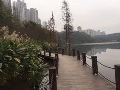 -重庆彩云湖湿地公园