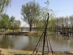 -东郊湿地公园