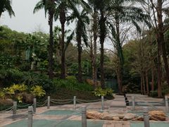 -深圳国际园林花卉博览园