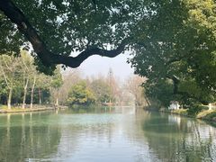 -西溪国家湿地公园